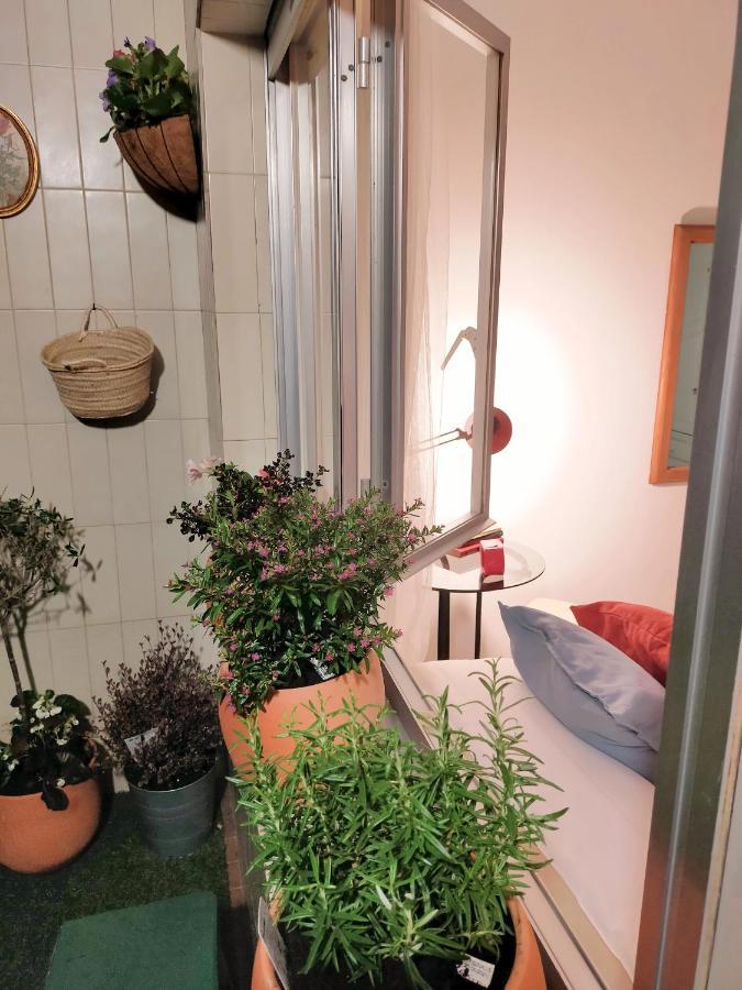 Apartamento Boutique "A Casa De Lola" 博伊罗 外观 照片